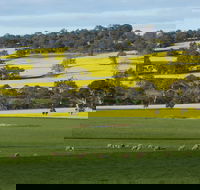 Fini Olives - Kalgoorlie Accommodation