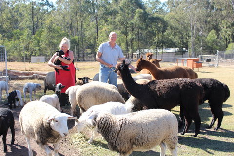 Haigslea EWE Nique Hobby Farm - Kalgoorlie Accommodation 0