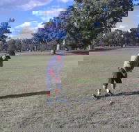 Inverell Golf Club - Kalgoorlie Accommodation