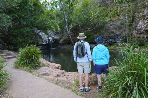 Kondalilla Falls Circuit, Kondalilla National Park - Kalgoorlie Accommodation 1