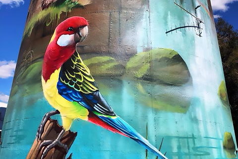 Lockhart Water Tower Mural - Kalgoorlie Accommodation 1