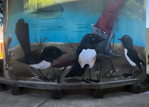 Lockhart Water Tower Mural - Kalgoorlie Accommodation 2
