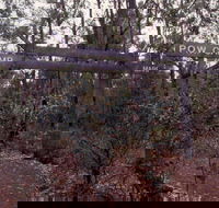 Marrinup Trail Dwellingup - Kalgoorlie Accommodation
