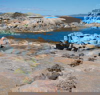 Nanarup Beach - Kalgoorlie Accommodation