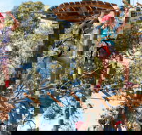 Next Level Monkey Business - Kalgoorlie Accommodation