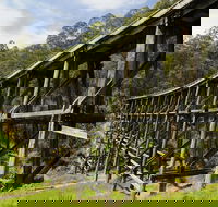 Noojee Trestle Bridge - Kalgoorlie Accommodation