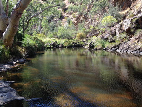 Onkaparinga River National Park - Kalgoorlie Accommodation 2