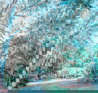 Phillips Gallery - Kalgoorlie Accommodation