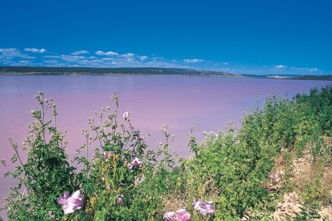 Port Gregory - Kalgoorlie Accommodation 0