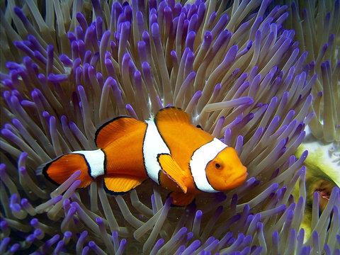 Reef HQ Aquarium - Kalgoorlie Accommodation 1