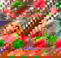 Sciencentre - Kalgoorlie Accommodation