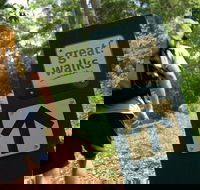 Sunshine Coast Hinterland Great Walk - Kalgoorlie Accommodation