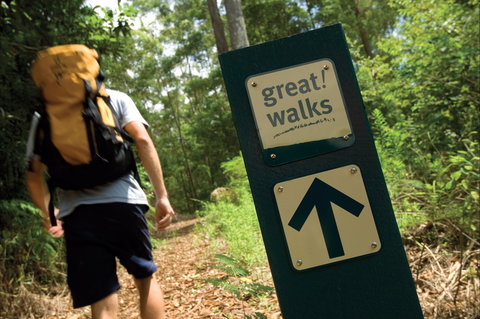 Sunshine Coast Hinterland Great Walk - Kalgoorlie Accommodation 0