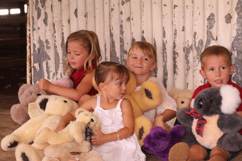Tambo Teddies - Kalgoorlie Accommodation 0