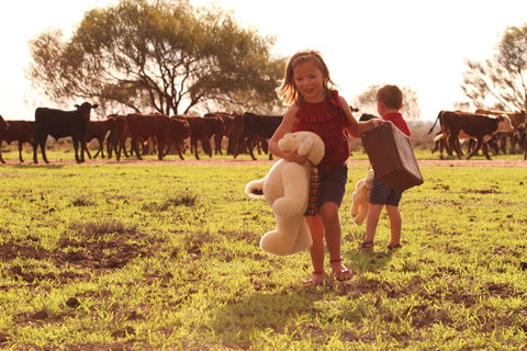 Tambo Teddies - Kalgoorlie Accommodation 1