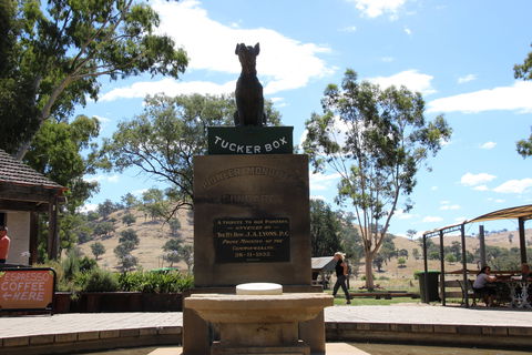 The Dog On The Tucker Box - Kalgoorlie Accommodation 2