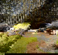 The Pines Picnic Area - Kalgoorlie Accommodation