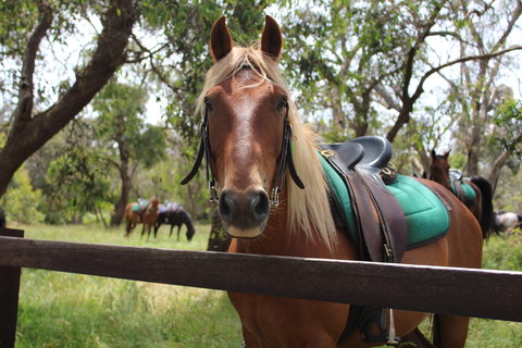 The Ranch - Kalgoorlie Accommodation 2