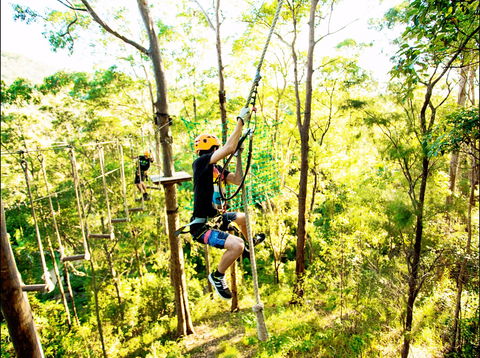 TreeTop Challenge - Kalgoorlie Accommodation 1