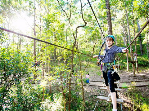 TreeTop Challenge - Kalgoorlie Accommodation 2