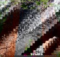 Ancient Empire Walk Valley of the Giants - Kalgoorlie Accommodation