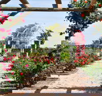 Australian Inland Botanic Gardens - Kalgoorlie Accommodation