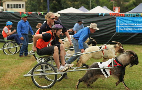 Comboyne - Kalgoorlie Accommodation 0
