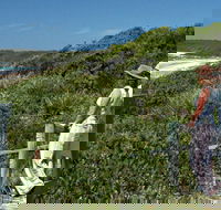 Conjola Beach Picnic Area - Kalgoorlie Accommodation