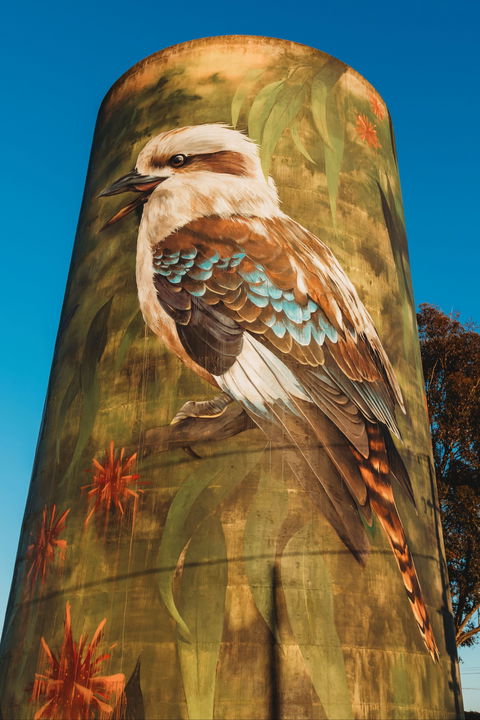 Deniliquin Water Tower Mural - Kalgoorlie Accommodation 0