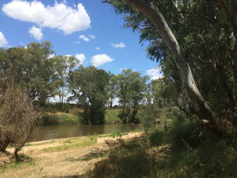 Farleigh 'Beach' Reserve - Kalgoorlie Accommodation 0