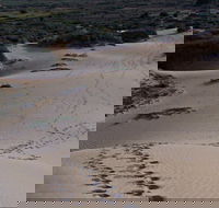 Foreshore Walk Mungo National Park - Kalgoorlie Accommodation