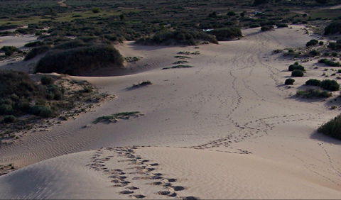 Foreshore Walk, Mungo National Park - Kalgoorlie Accommodation 0