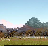 Grampians - Kalgoorlie Accommodation