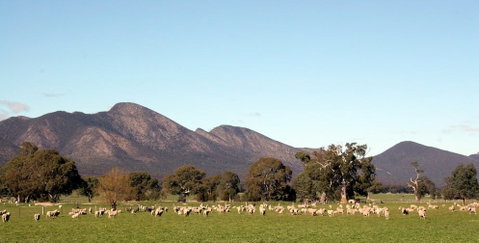 Grampians - Kalgoorlie Accommodation 0
