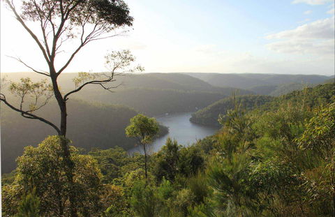 Great North Walk - Berowra Valley National Park - Kalgoorlie Accommodation 0