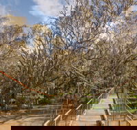 Lachlan River Swing Bridge - Kalgoorlie Accommodation