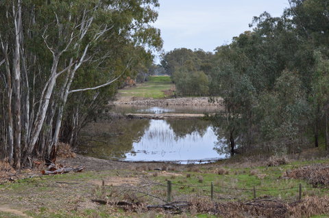 Lawson Syphon - Kalgoorlie Accommodation 1