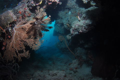 Luncheon Bay Dive Site - Kalgoorlie Accommodation 2