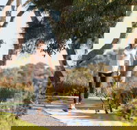 Meningie Walking and Cycling Trails - Kalgoorlie Accommodation