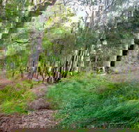 Meroo Lake walking track - Kalgoorlie Accommodation