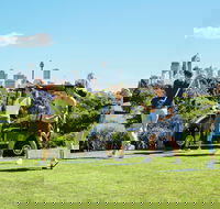 Moore Park Golf Course - Kalgoorlie Accommodation