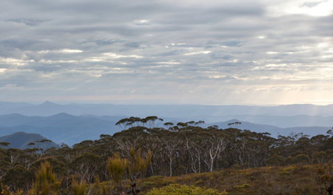 Mount Budawang Trail - Kalgoorlie Accommodation 0