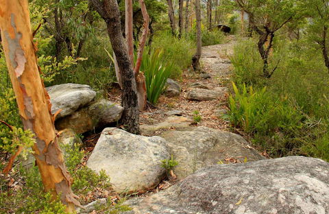 Mount Olive Trail - Kalgoorlie Accommodation 0
