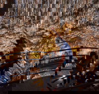 Ngilgi Cave - Kalgoorlie Accommodation