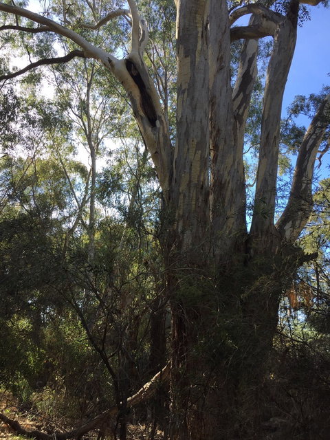 Northern Beaches - Kalgoorlie Accommodation 0