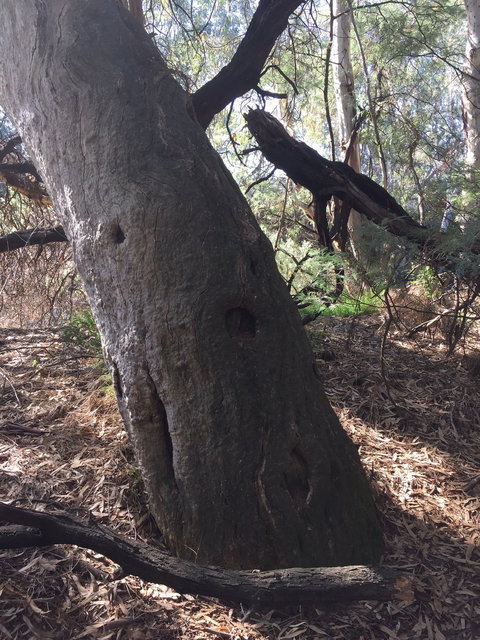 Northern Beaches - Kalgoorlie Accommodation 1