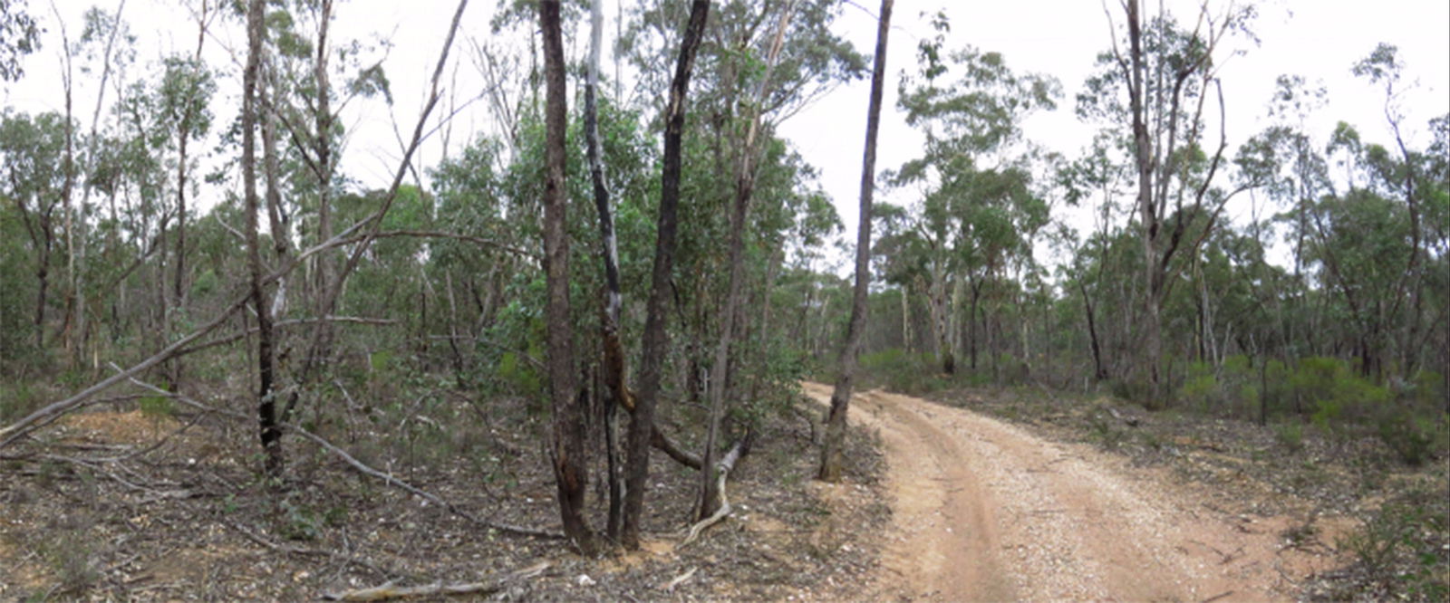 Adelaide Lead VIC Kalgoorlie Accommodation