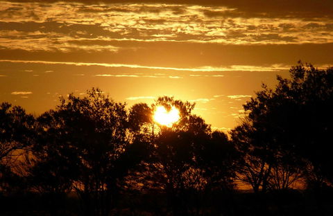 Paroo-Darling National Park - Kalgoorlie Accommodation 0