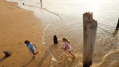 Phillip Island - Kalgoorlie Accommodation 0