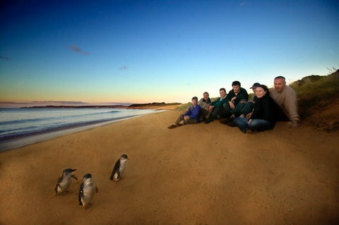 Phillip Island - Kalgoorlie Accommodation 2